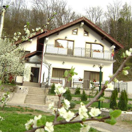 Băile Herculane Pension Casa Natura المظهر الخارجي الصورة