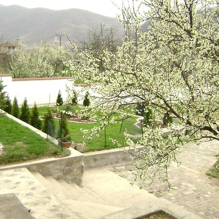Băile Herculane Pension Casa Natura المظهر الخارجي الصورة