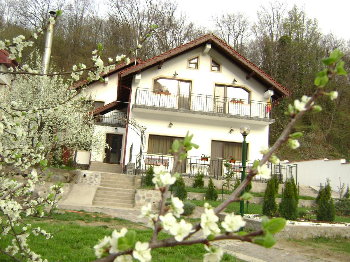 Băile Herculane Pension Casa Natura المظهر الخارجي الصورة