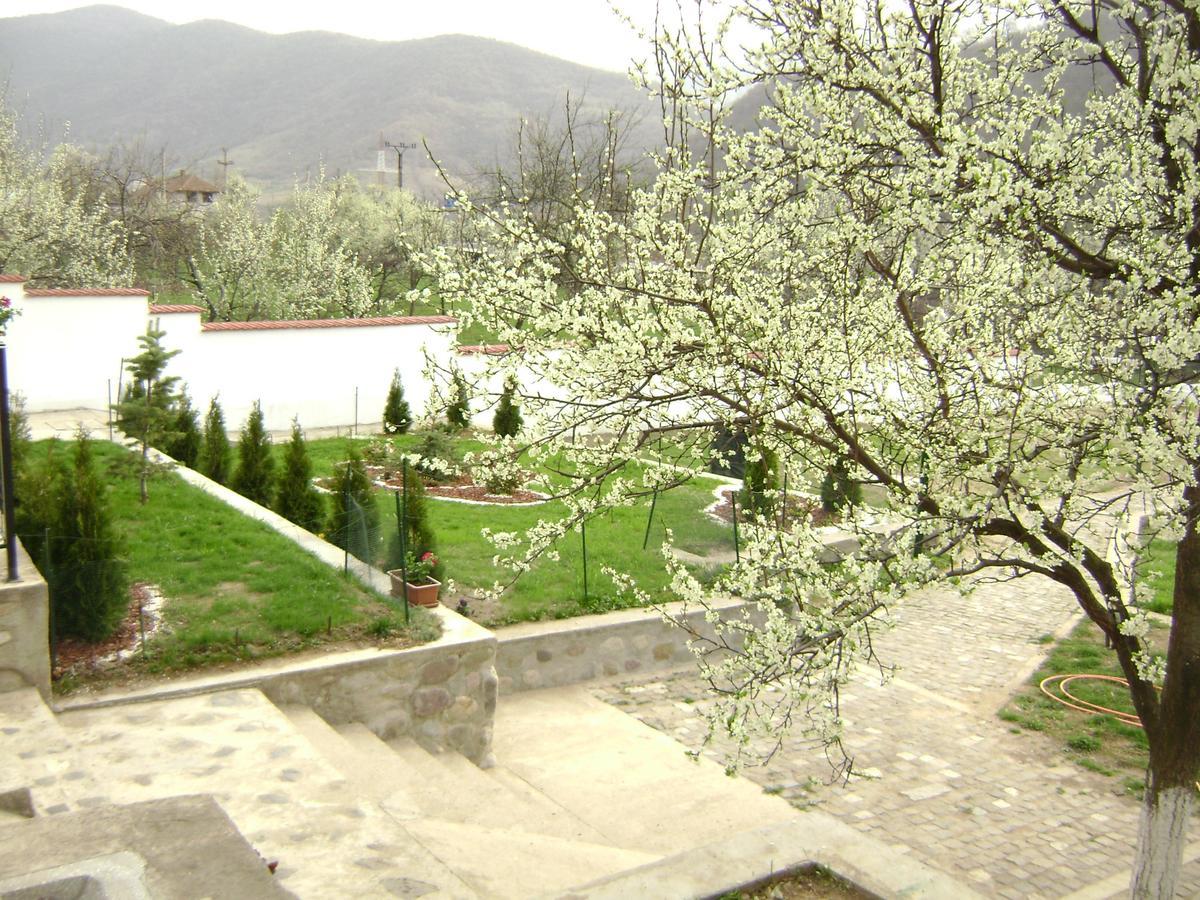 Băile Herculane Pension Casa Natura المظهر الخارجي الصورة