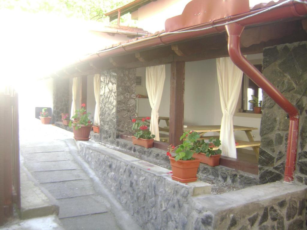 Băile Herculane Pension Casa Natura المظهر الخارجي الصورة