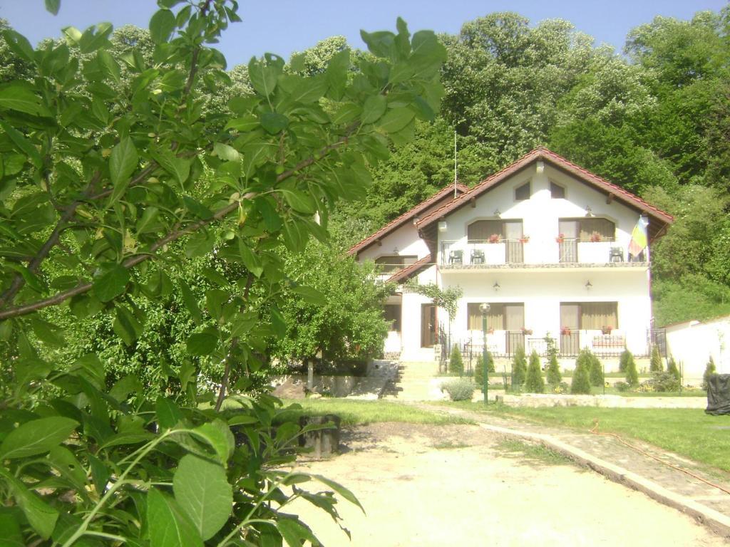 Băile Herculane Pension Casa Natura المظهر الخارجي الصورة
