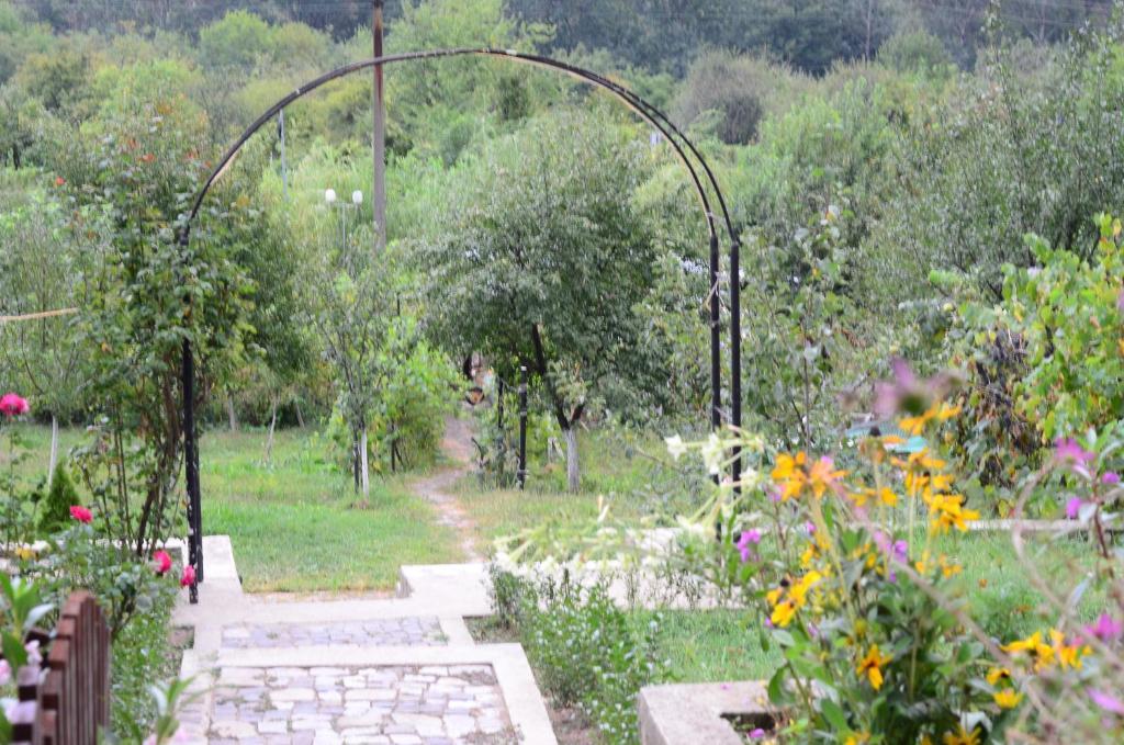 Băile Herculane Pension Casa Natura المظهر الخارجي الصورة