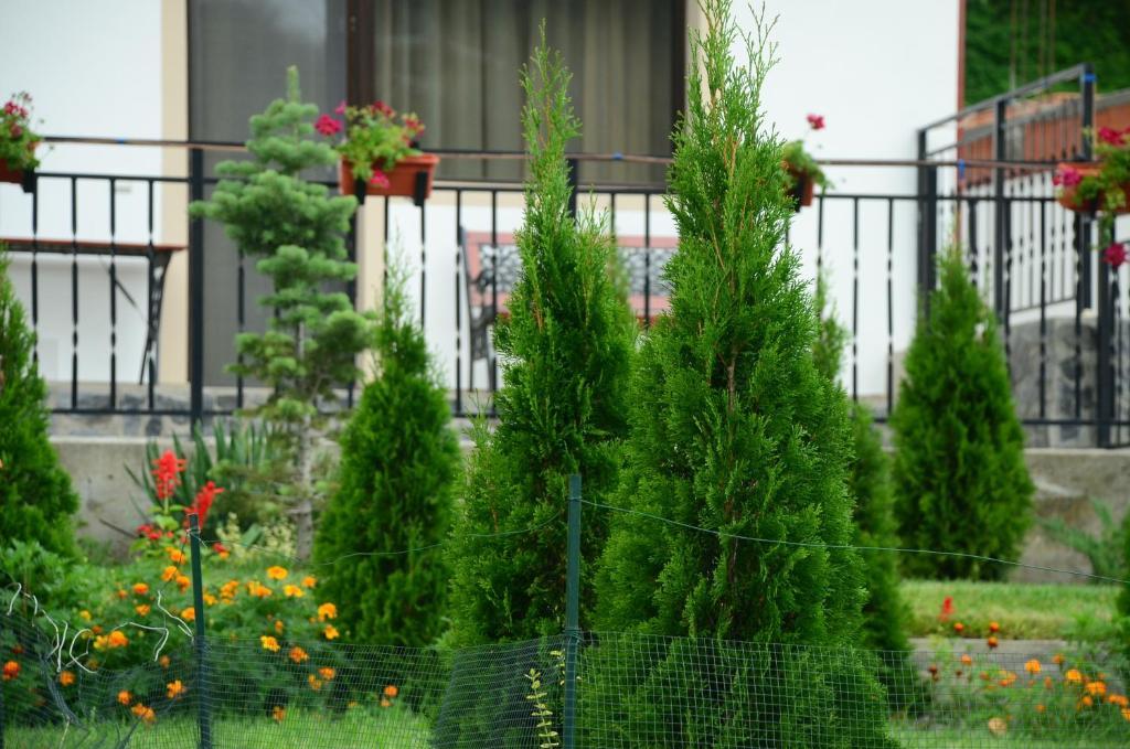 Băile Herculane Pension Casa Natura المظهر الخارجي الصورة