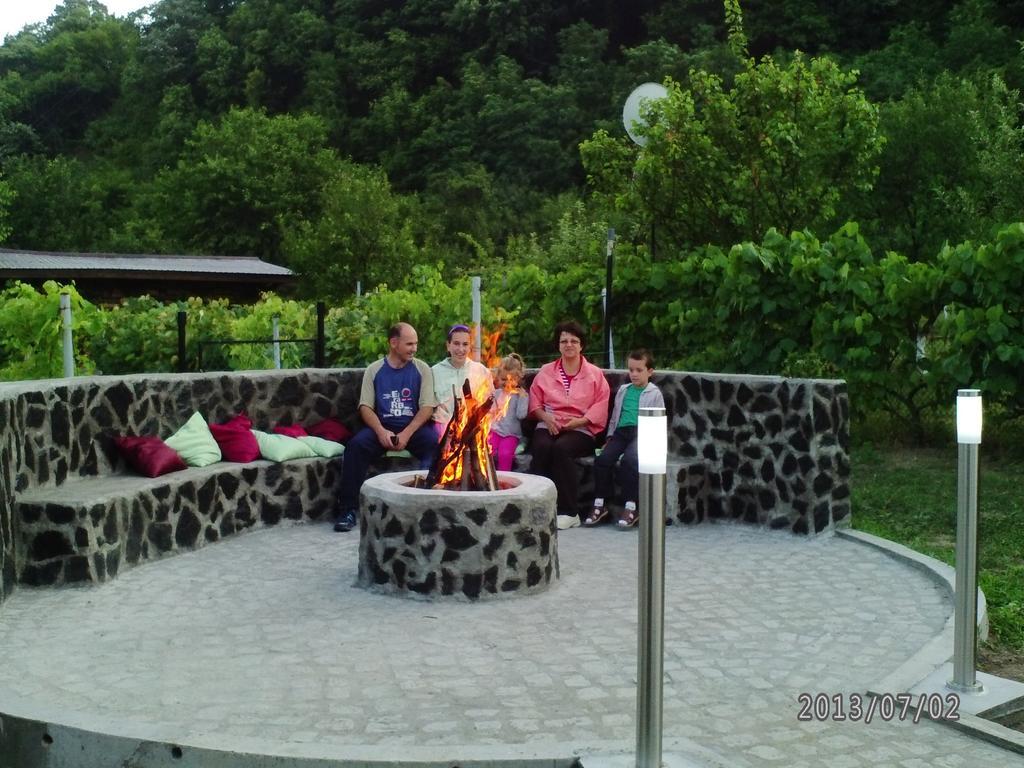Băile Herculane Pension Casa Natura المظهر الخارجي الصورة