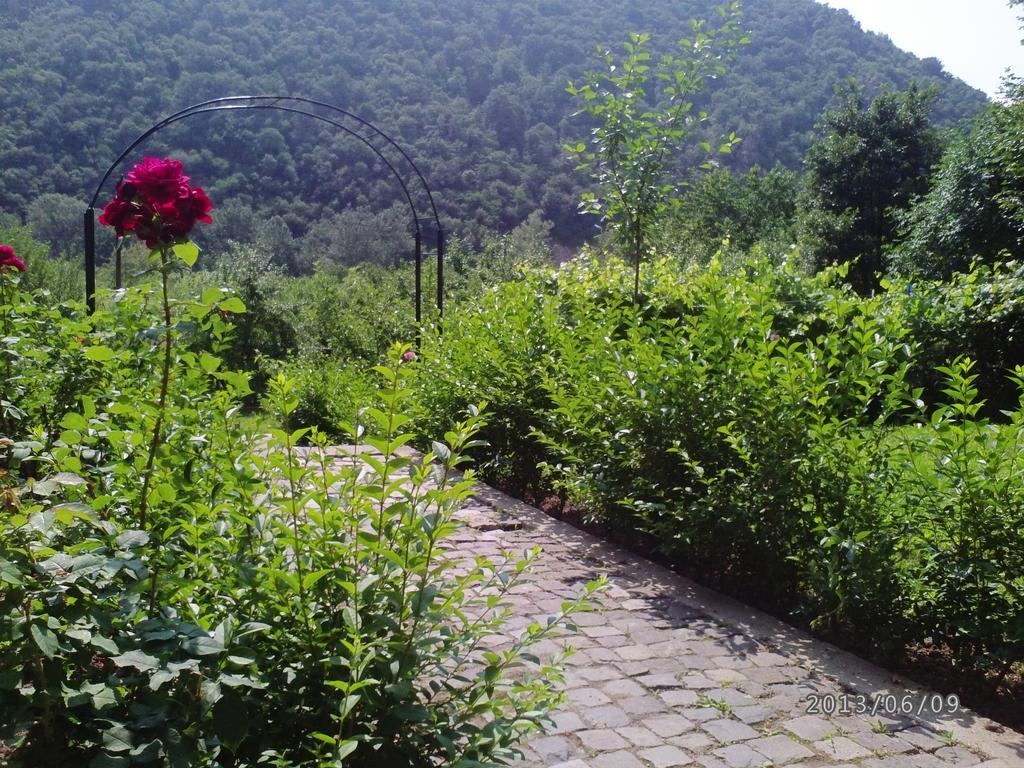 Băile Herculane Pension Casa Natura المظهر الخارجي الصورة
