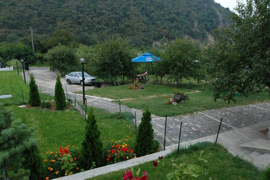 Băile Herculane Pension Casa Natura المظهر الخارجي الصورة