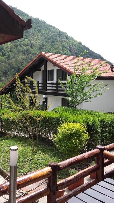 Băile Herculane Pension Casa Natura المظهر الخارجي الصورة