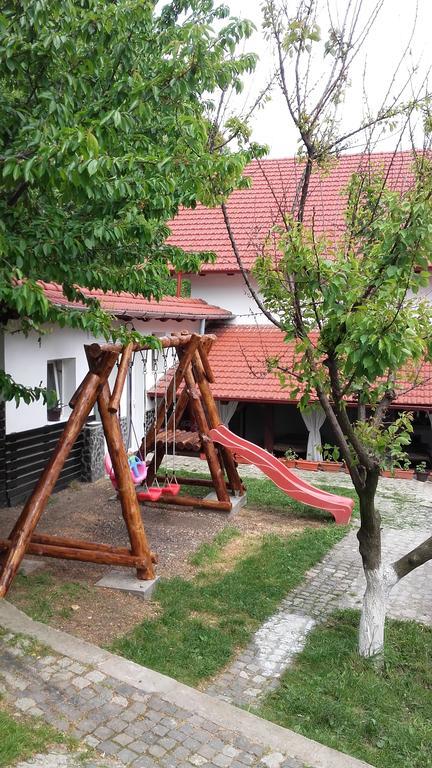 Băile Herculane Pension Casa Natura المظهر الخارجي الصورة