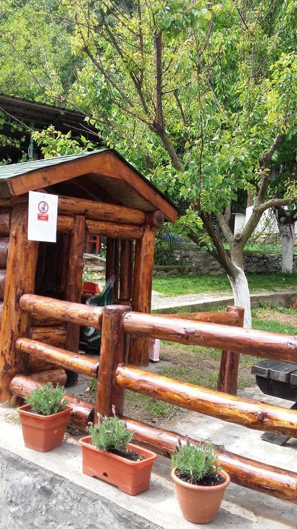 Băile Herculane Pension Casa Natura المظهر الخارجي الصورة