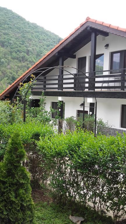Băile Herculane Pension Casa Natura المظهر الخارجي الصورة