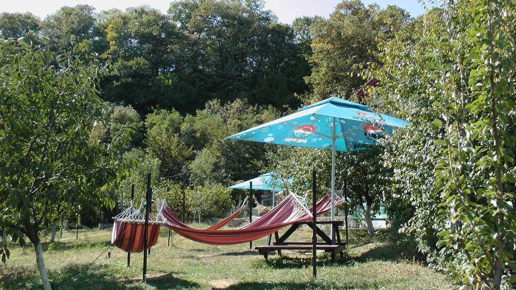 Băile Herculane Pension Casa Natura المظهر الخارجي الصورة