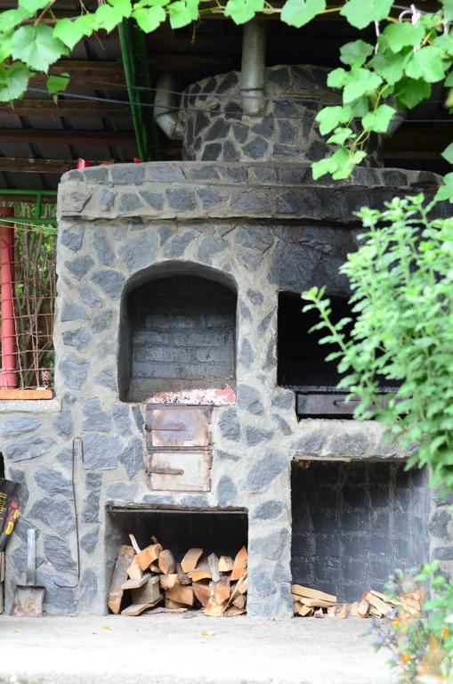 Băile Herculane Pension Casa Natura المظهر الخارجي الصورة