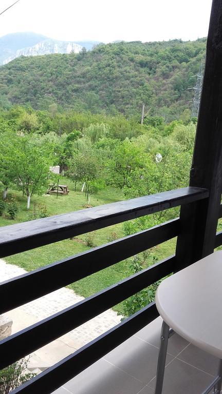 Băile Herculane Pension Casa Natura المظهر الخارجي الصورة