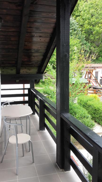 Băile Herculane Pension Casa Natura المظهر الخارجي الصورة