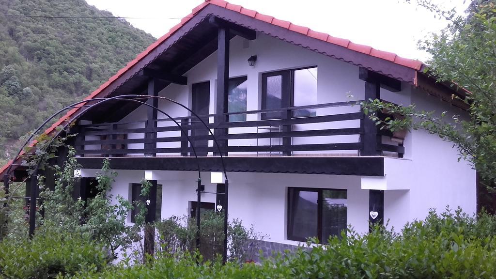 Băile Herculane Pension Casa Natura المظهر الخارجي الصورة