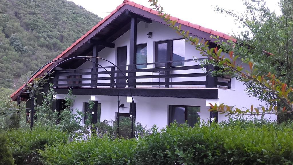 Băile Herculane Pension Casa Natura المظهر الخارجي الصورة